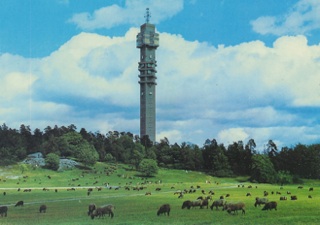 kaknas