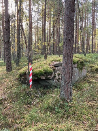 Terrängbild Törnskogen