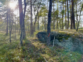 Det här är en av kontrollerna på Lång-km 2025 som inte dög. Då kan ni tänka er hur bra de godkända kontrollerna är!
