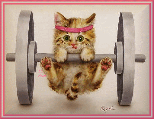 kitten_working_out