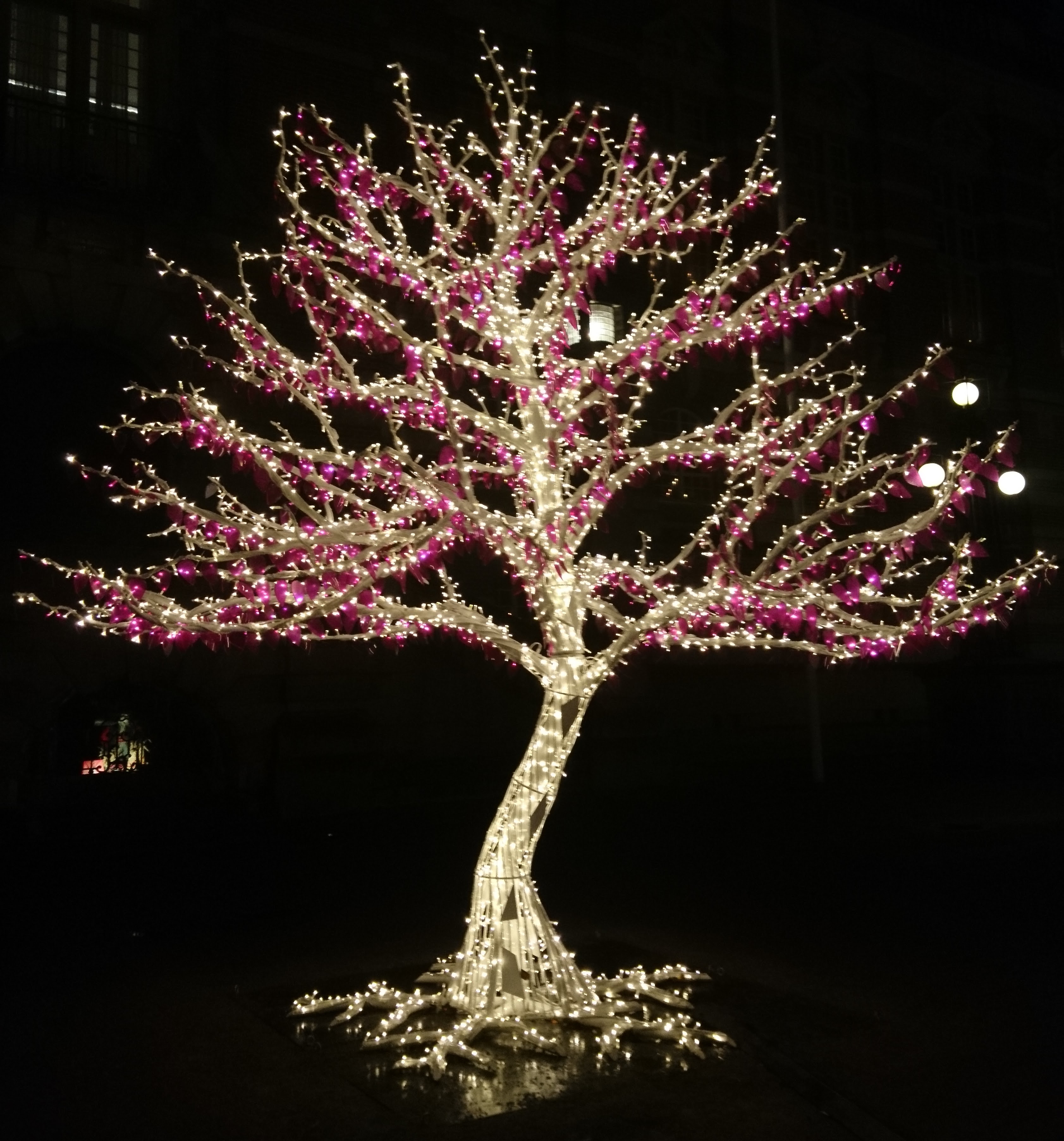 Tree of light